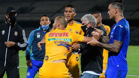 Tigres Coronavirus