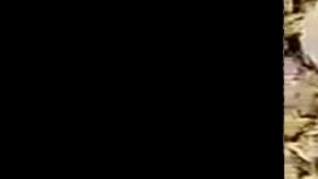 VIDEO: Madres buscadoras hallan restos de unas 18 personas en fosas clandestinas del narco