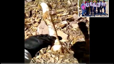 VIDEO: Madres buscadoras hallan restos de unas 18 personas en fosas clandestinas del narco