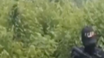 VIDEO: "Esto les va a pasar a los que no se alineen con nosotros", amenazan narcos