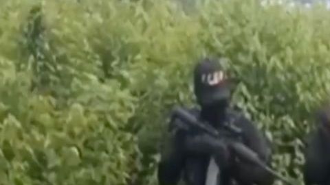 VIDEO: "Esto les va a pasar a los que no se alineen con nosotros", amenazan narcos