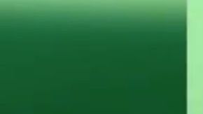 VIDEO: CJNG interroga y descuartiza a señora por supuestamente vender droga