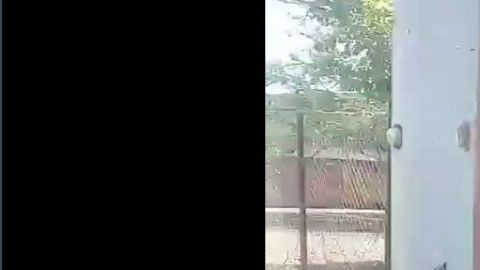 VIDEO: CJNG presume cómo dejó a rivales tras enfrentamiento