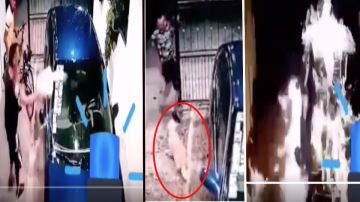 VIDEO: Narcos queman auto de familia por denunciarlos; perrito estaba en garage cuando lo hicieron