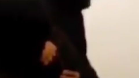 VIDEO: Sicarios interrogan con armas a presunto integrante de La Familia Michoacana