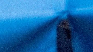 Coronavirus en Florida