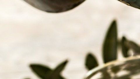 aceite de oliva