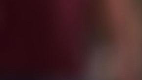 El animal que define a los Escorpión es el perro.