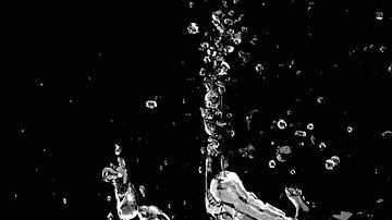 agua-pimientos-limpieza verduras- Monoar Rahman Rony en Pixabay