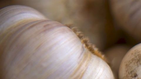 Un compuesto llamado disulfuro de dialilo que se produce en el ajo puede actuar contra las enzimas en el cuerpo que dañan el cartílago.