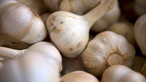 Un compuesto llamado disulfuro de dialilo que se produce en el ajo puede actuar contra las enzimas en el cuerpo que dañan el cartílago.