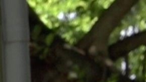 El alcalde Carlos Giménez durante una conferencia de prensa en Miami.