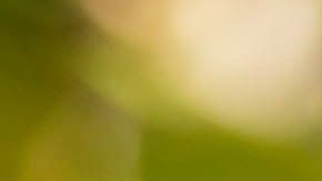 Alejandro García espera que la pandemia termine para comenzar la primera gira de su carrera. Foto: Universal Music