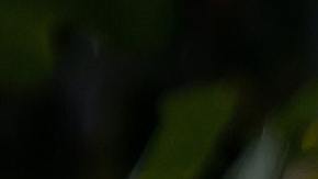 Rápidamente, recibió atención médica oportuna y ya está recuperado.