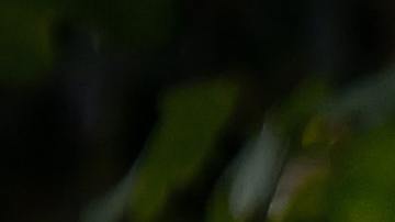 Rápidamente, recibió atención médica oportuna y ya está recuperado.