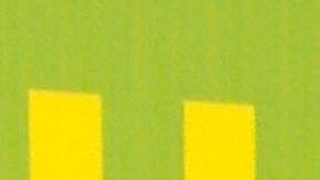 ashley massaro suicidio