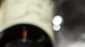 Las flores de Bach se usan como remedios alternativos.