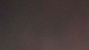 La avena es rica en fibra y además contiene químicos vegetales que actúan como antioxidantes para reducir los efectos dañinos de la inflamación crónica.