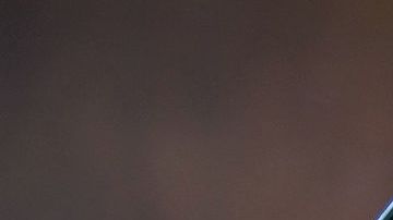 La avena es rica en fibra y además contiene químicos vegetales que actúan como antioxidantes para reducir los efectos dañinos de la inflamación crónica.