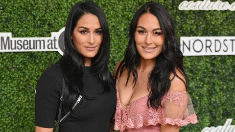 brie y nikki bella