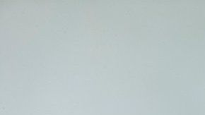 Los insectos en los sueños transmiten un mensaje del subconsciente.