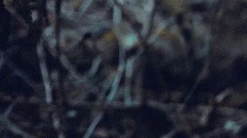 Descubre cómo deshacer un acto de magia negra.