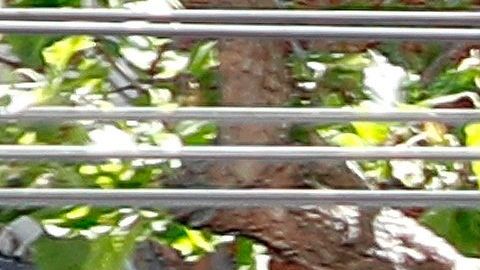 Una persona pasa por una tienda minorista de Old Navy cerrada en San Francisco, California, el 29 de abril de 2020.