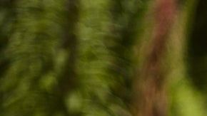 Hay signos que poseen un fuerte carácter.