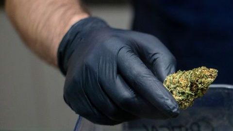 Se cree que el producto tiene un mercado potencial de 18,000 millones de dólares