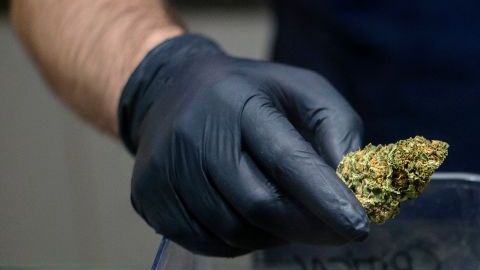 Se cree que el producto tiene un mercado potencial de 18,000 millones de dólares