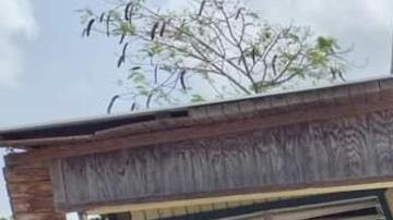 Sismo en Puerto Rico