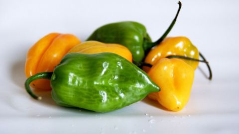 Los chiles tienen compuestos protectores de la salud.