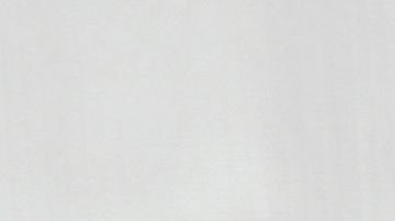 autos chiquis rivera