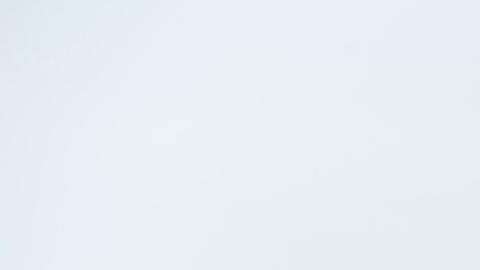 El camello fue encontrado con cicatrices en el cuerpo y signos de agotamiento.