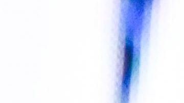 conor mcgregor negocios millonarios