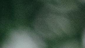 Un cliente deja propina de $1,000 dólares en restaurante de Nueva Jersey