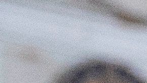 El republicanos asegura que sí se ha estado cubriendo la cara.