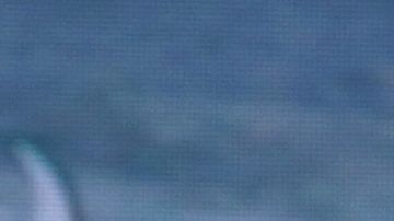 Danilo Carrera y Michelle Renaud