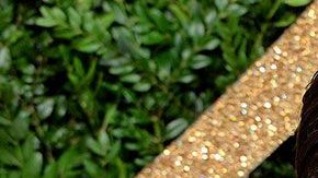 Victoria y David Beckham.