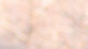 Los taladores consideran esto como un "milagro".