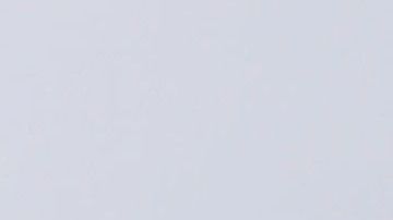 Alessandra Rosaldo y Eugenio Derbez.