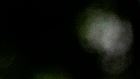 Miles de manifestantes se concentraron en West Hollywood el pasado domingo 14 de junio.