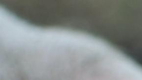 Los virus de influenza son más contagiosos.