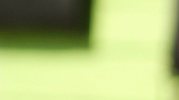 El perro llevaba un microchip y fue así como lograron devolverlo a su dueña.