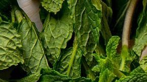 Infusión de semillas y limón.