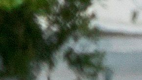 Coronavirus en Miami