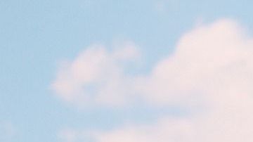 Conoce 5 razones que te animarán a salir con un Leo.