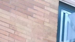 Escuela pública en Brooklyn, NYC 2019.