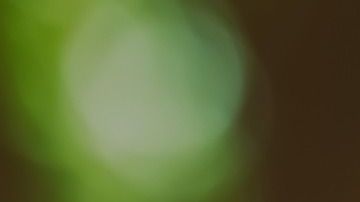 La astrología puede ayudarte a lograr que te perdonen.