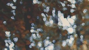 Cada signo zodiacal tiene un poder mágico.